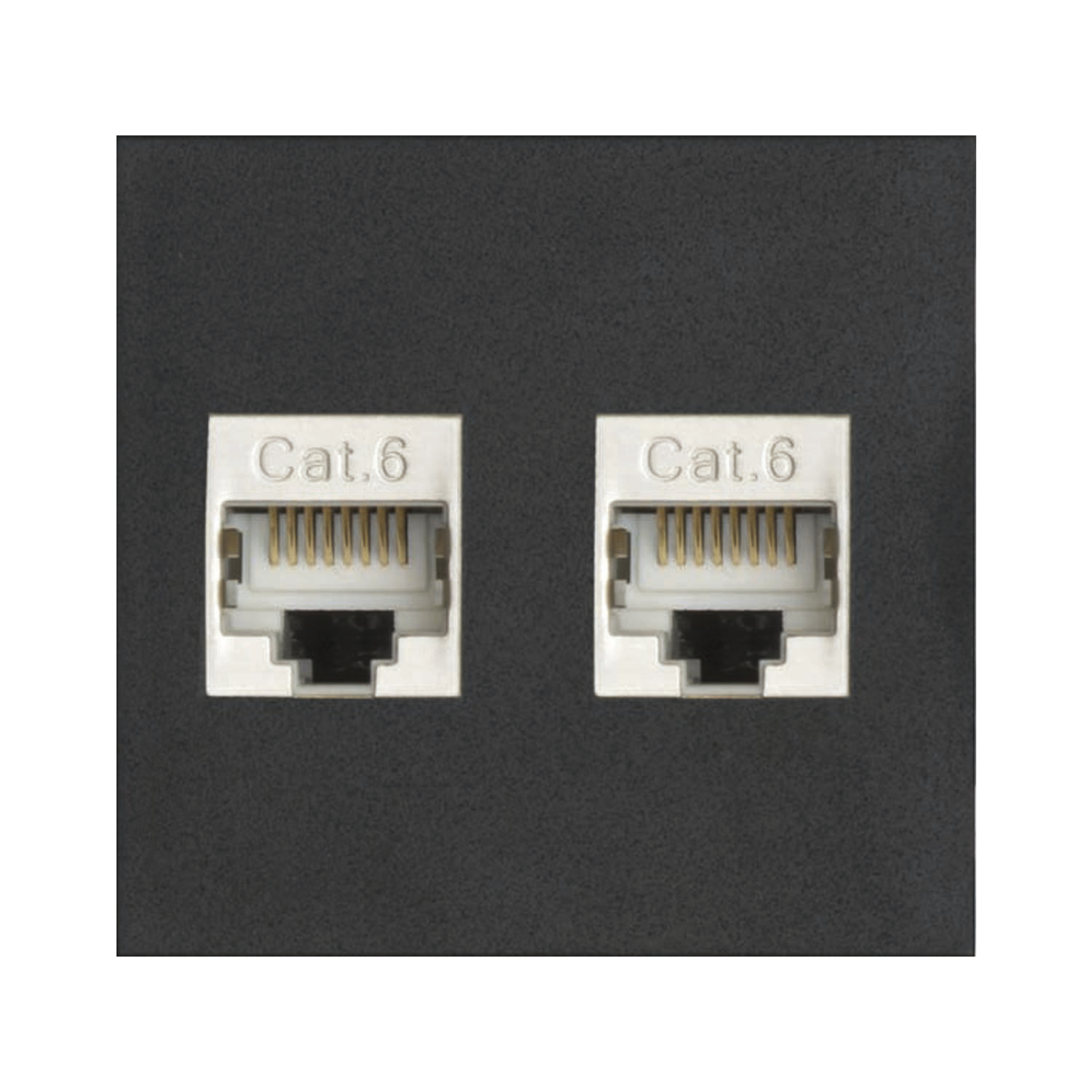 EVOline Wechselmodul 2xRJ45 CAT6, schwarz