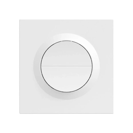 Sonoff Orb-ZBW2 Zigbee Doppelter Intelligenter Wandschalter MINI-ZB2GS-E