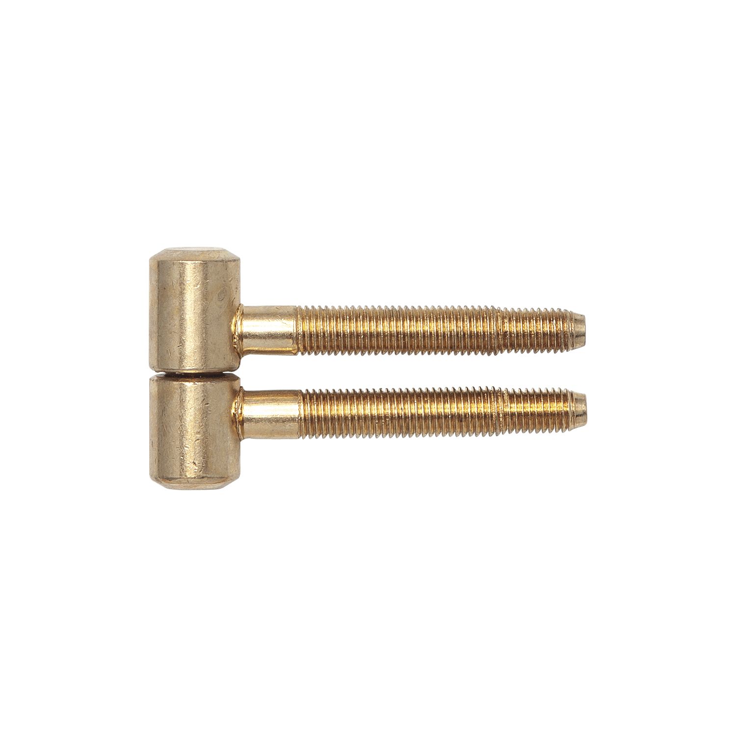 SFS Einbohrband für Futtertüren, 16 mm, Stahl vermessingt