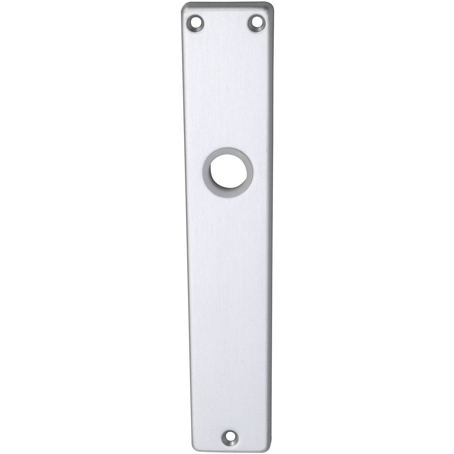 Langschild EUROPA, ungelocht, silber eloxiert