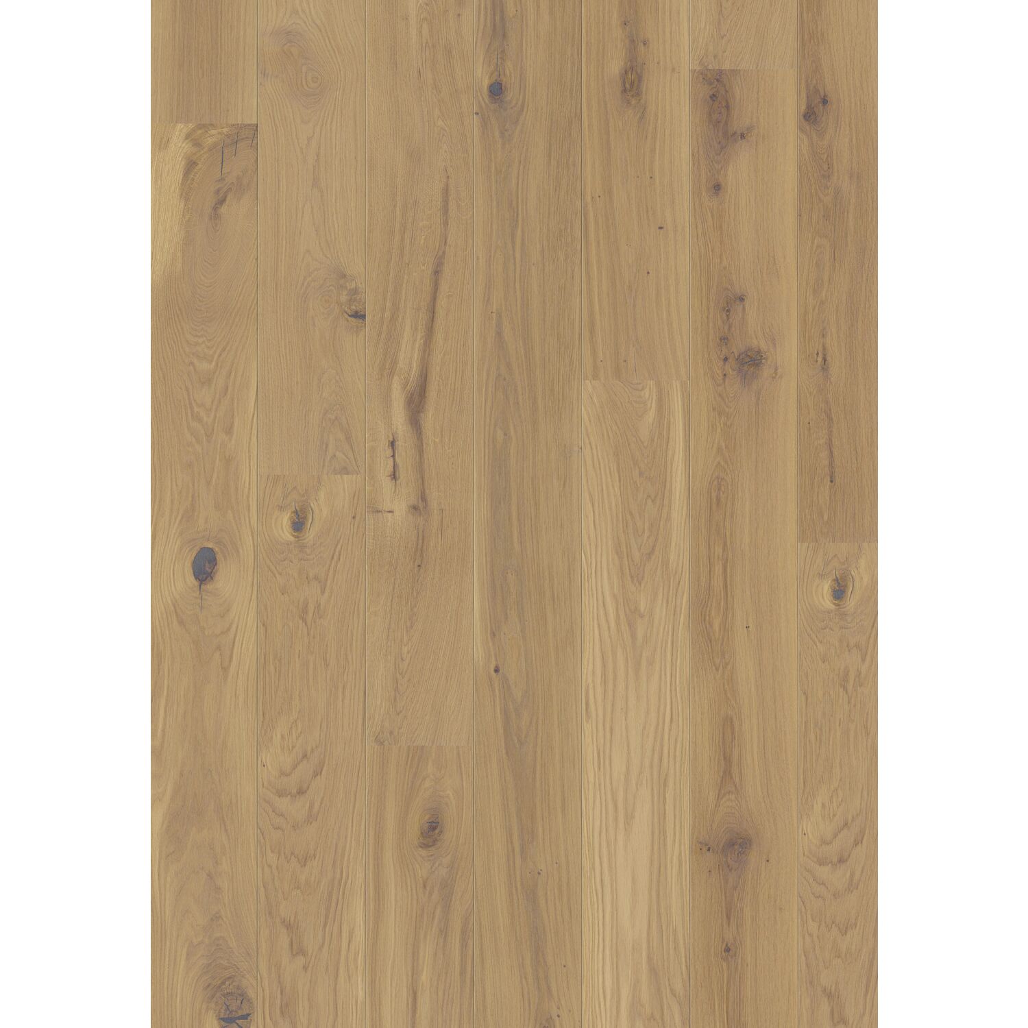 TILO Marcanto Trend Landhausdiele Eiche Sahara Alpin, gebürstet, geölt (2.33 m²)