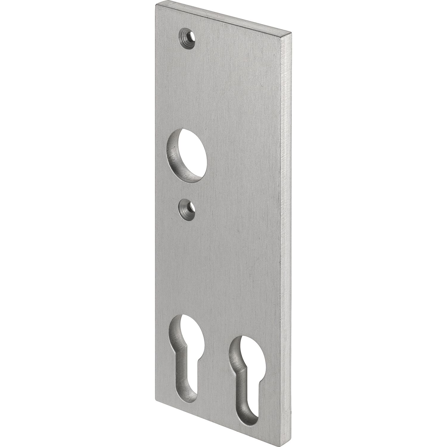 AMF Kurzschild 497DZ mit 2 PZ-Lochungen, eckig, 156 x 62 x 7 mm, silber eloxiert AMF Kurzschild 497DZ mit 2 PZ-Lochungen, eckig, 156 x 62 x 7 mm, silber eloxiert