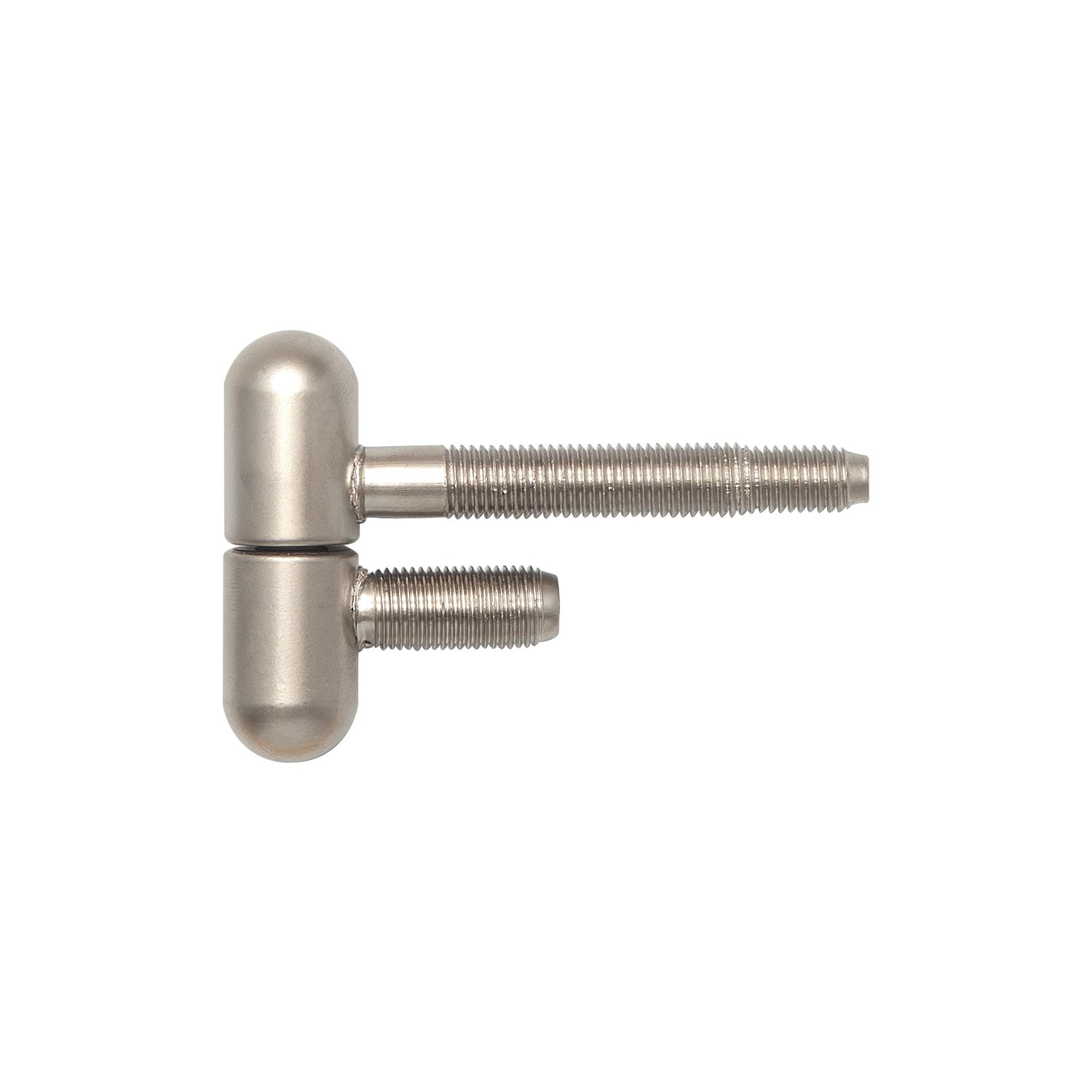 SFS Stahlzargenband 2-tlg. mit Rundkopf, ø 16 mm, Höhe 50,5 mm, vernickelt matt
