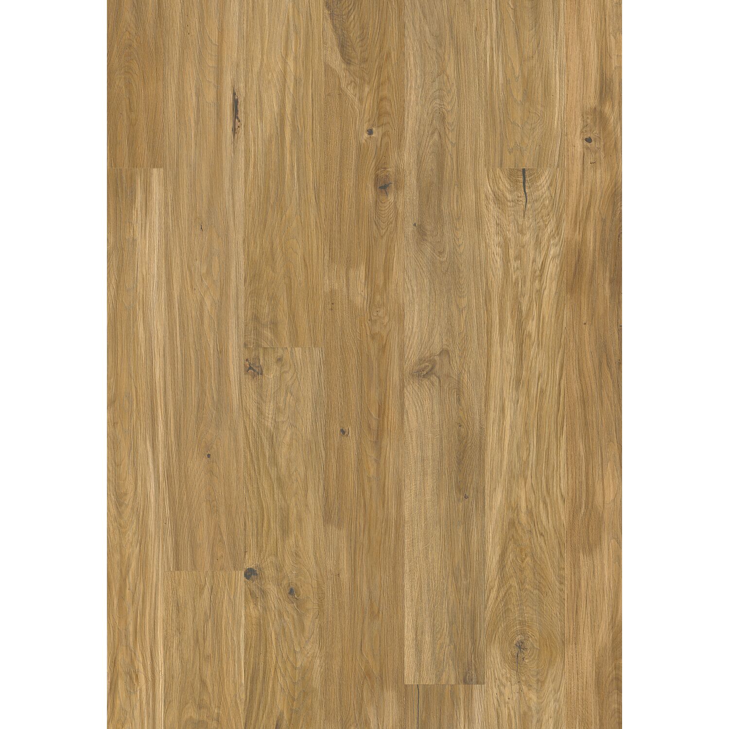 TILO Landhausdiele Jura Eiche rustikal, gehobelt, natur geölt, 13 mm (2.33 m²)