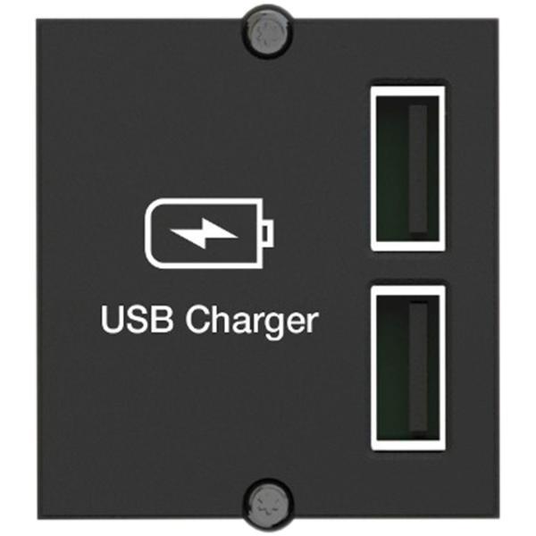 BACHMANN Keystone Modul USB Doppelcharger 2xUSB-A, 2,4A BACHMANN Keystone Modul USB Doppelcharger 2xUSB-A, 2,4A