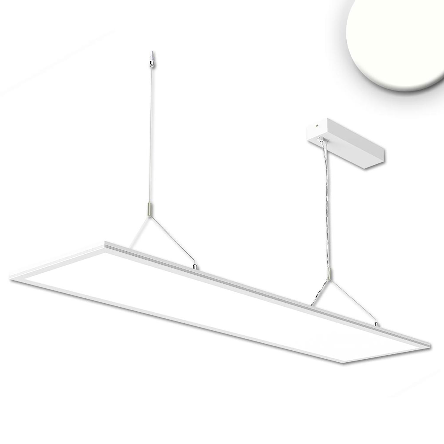 ISOLED LED Office Hängeleuchte Up&Down 20W+20W 30x120cm weiß UGR