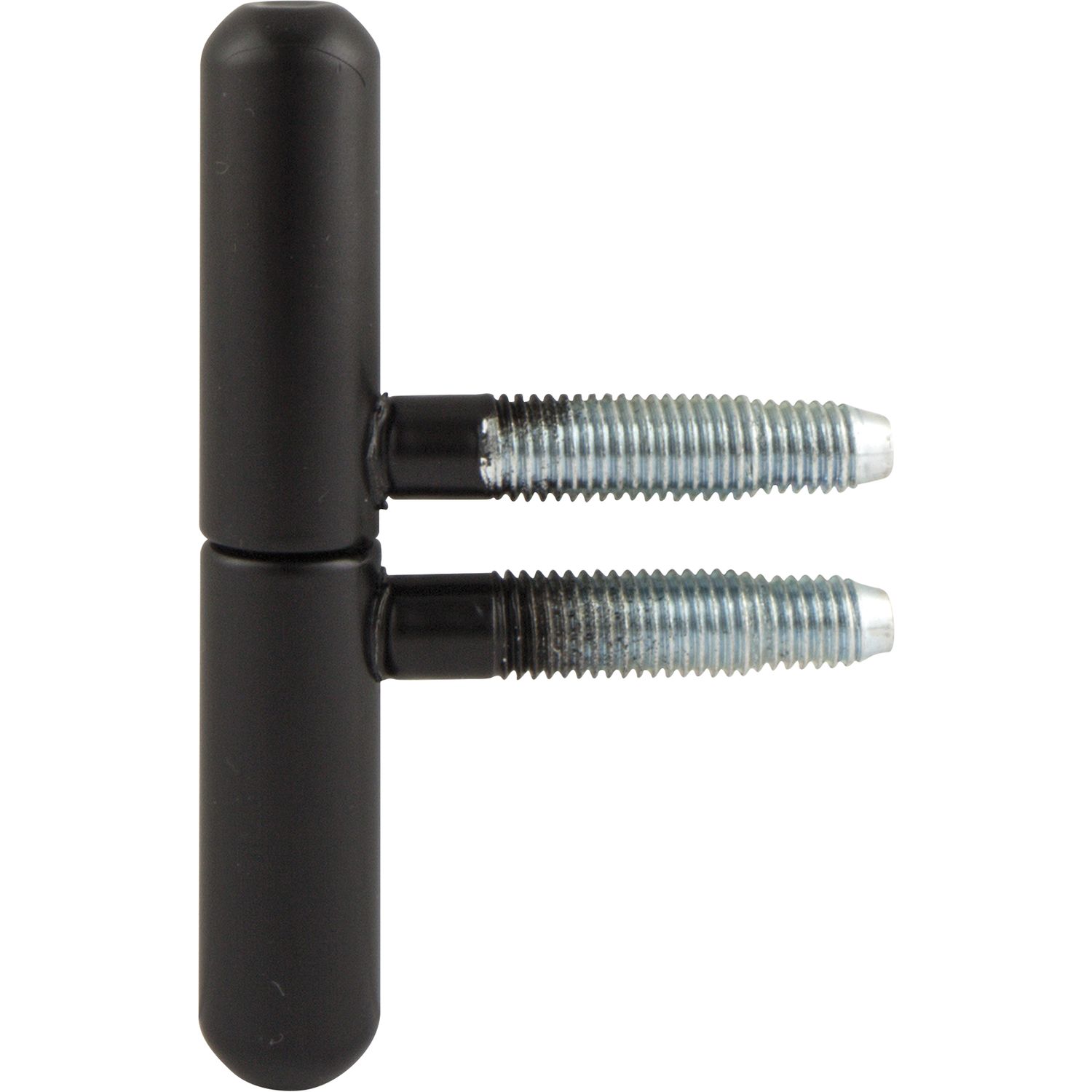 SFS Einbohr Zierband 14 mm, Typ Nussband, Stahl schwarz