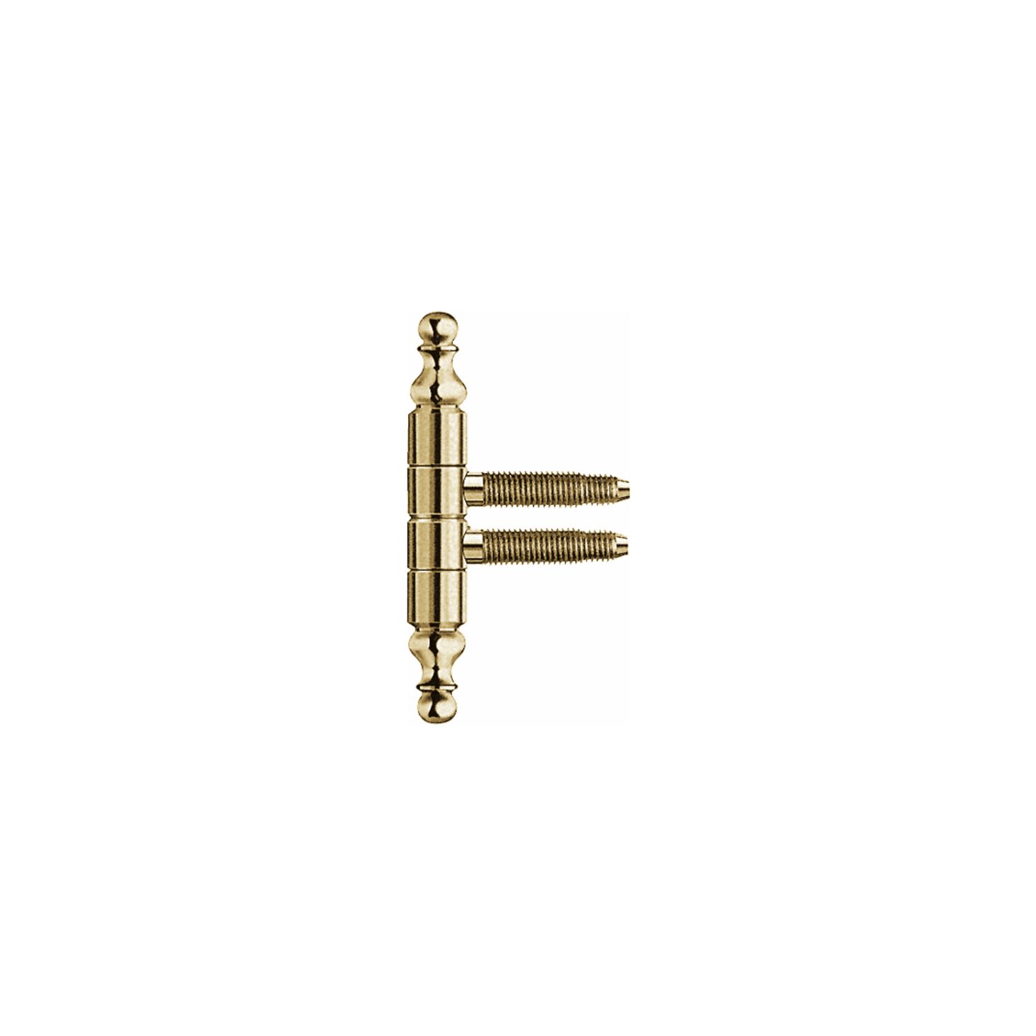 SFS Einbohrband mit Zierkopf, 13 mm, Stahl vermessingt