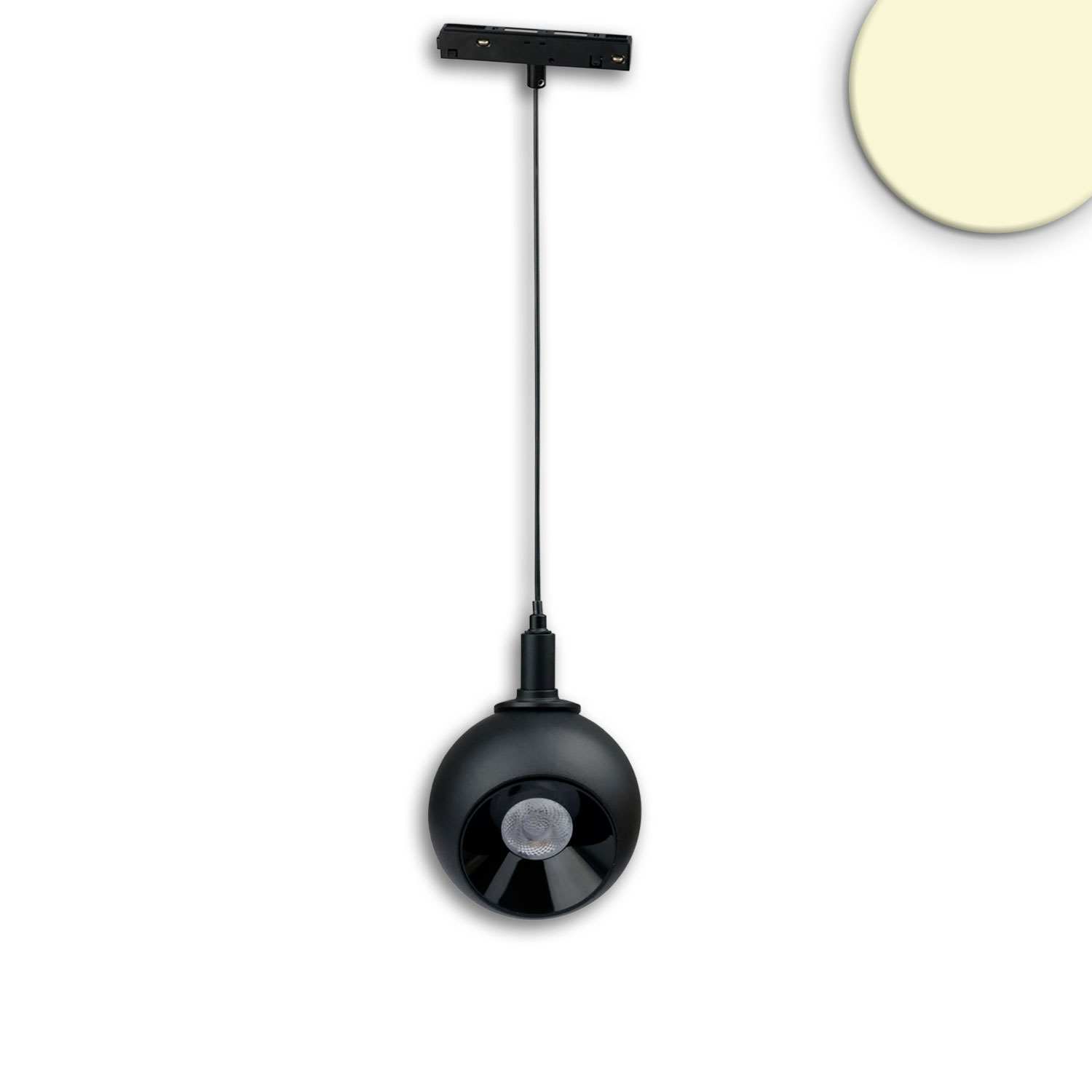 ISOLED Track48 Hängeleuchte Ball Fokus schwarz 12W 60° 48V DC 3000K CRI90 DALI dimmbar