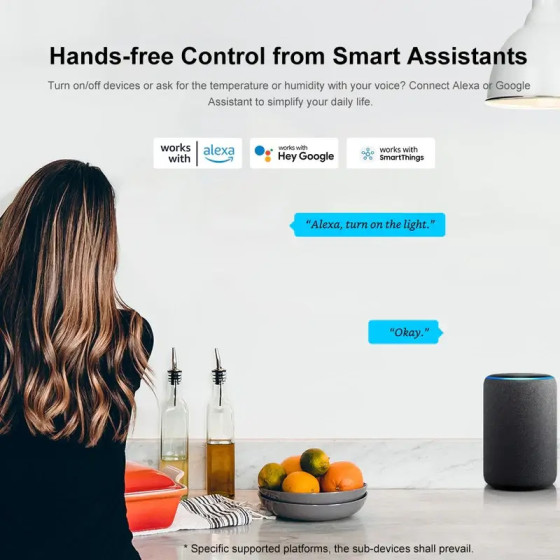 Sonoff Zigbee Bridge Pro