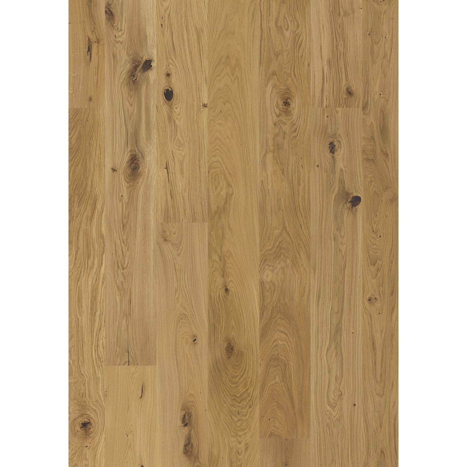 TILO Landhausdiele Jura Eiche rustikal, gebürstet, natur geölt, 12 mm (2.33 m²)