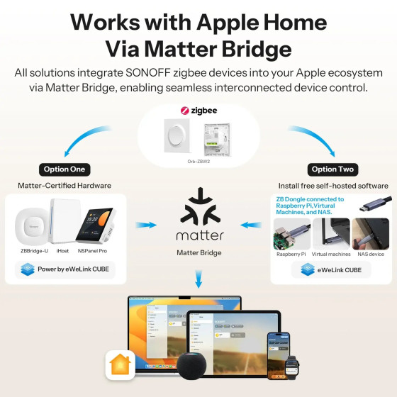 Sonoff Orb-ZBW2 Zigbee Doppelter Intelligenter Wandschalter MINI-ZB2GS-E