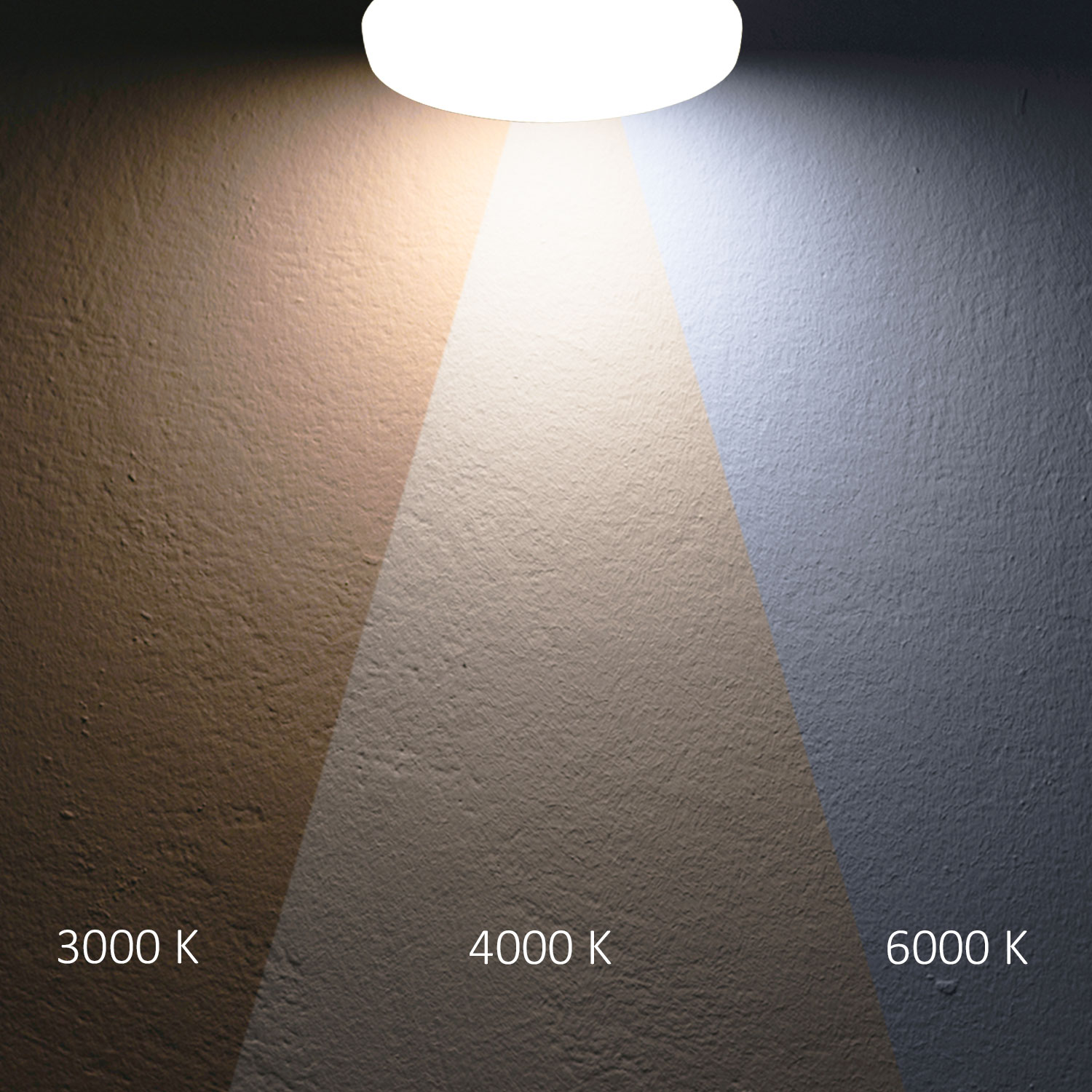ISOLED LED Deckenleuchte 13|18W mit HF-Sensor weiß rund DN280 IP64 120lm/W ColorSwitch 3000|4000|600