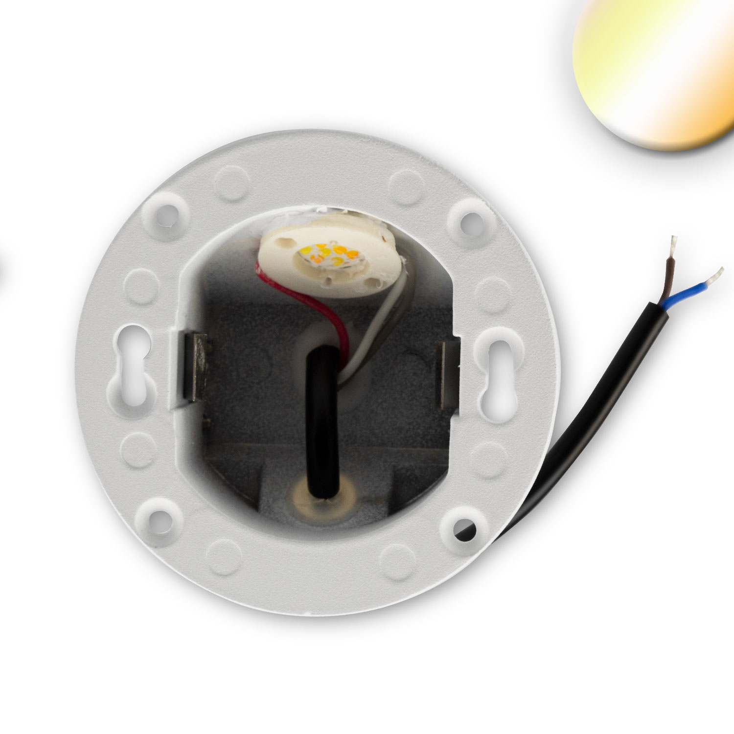 ISOLED LED Wandeinbauleuchte Sys-Wall68 230V 3W ColorSwitch 3000|4000|6000K inkl. Dose/exkl. Cover