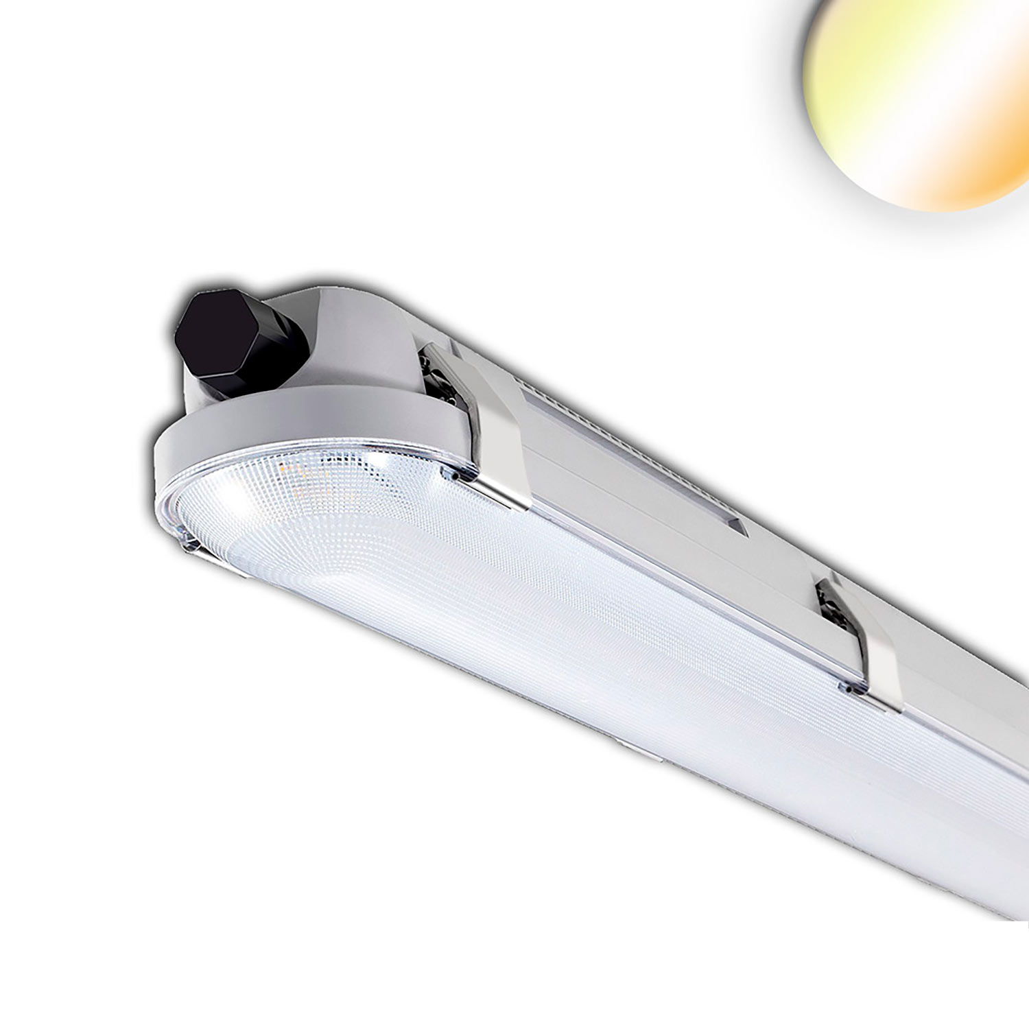 ISOLED LED Wannenleuchte 150cm IP65 PowerSwitch 35-60W ColorSwitch 3000|4000|5000K